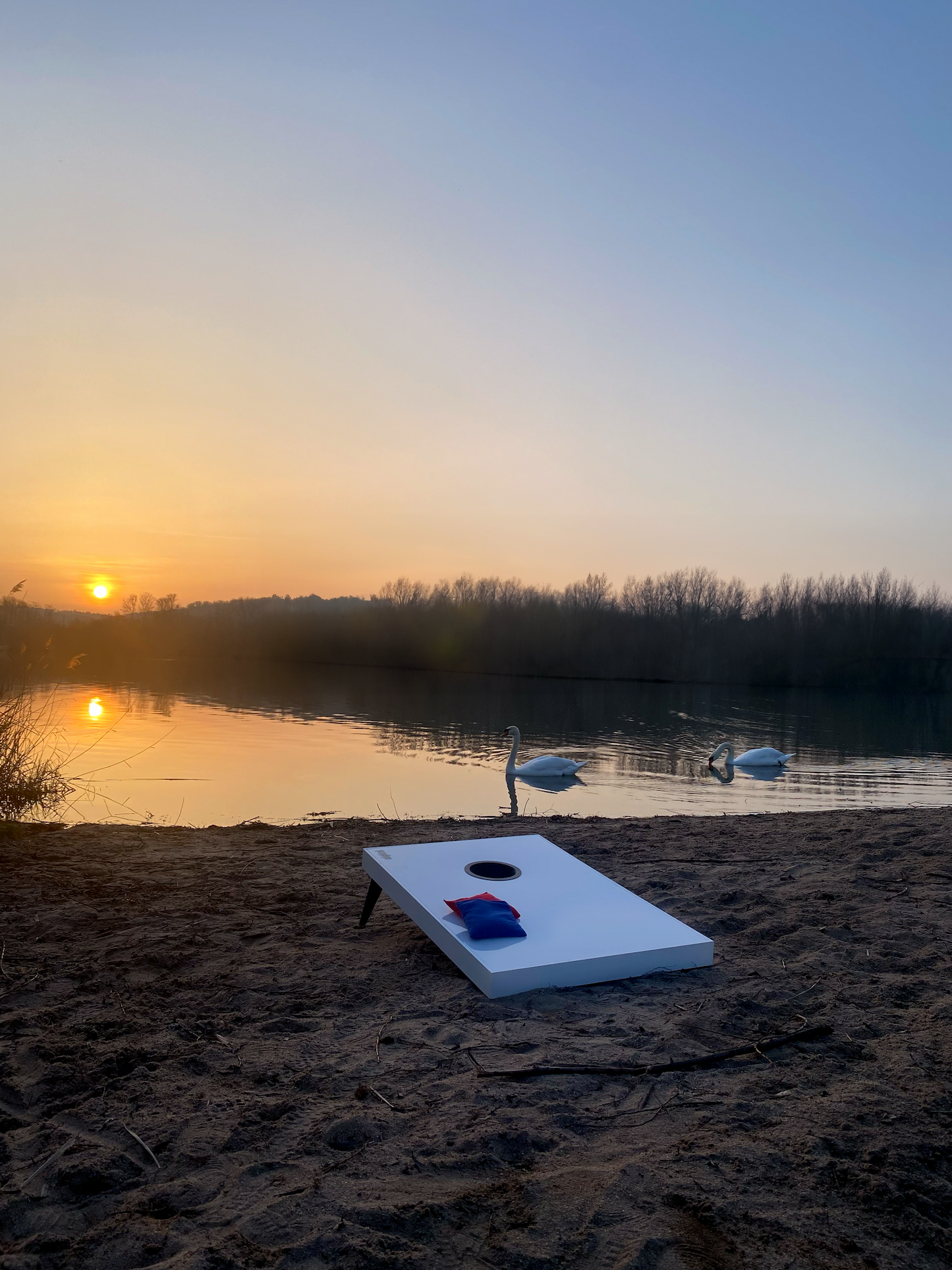 Cornholefeld mit Schwänen im Hintergrund