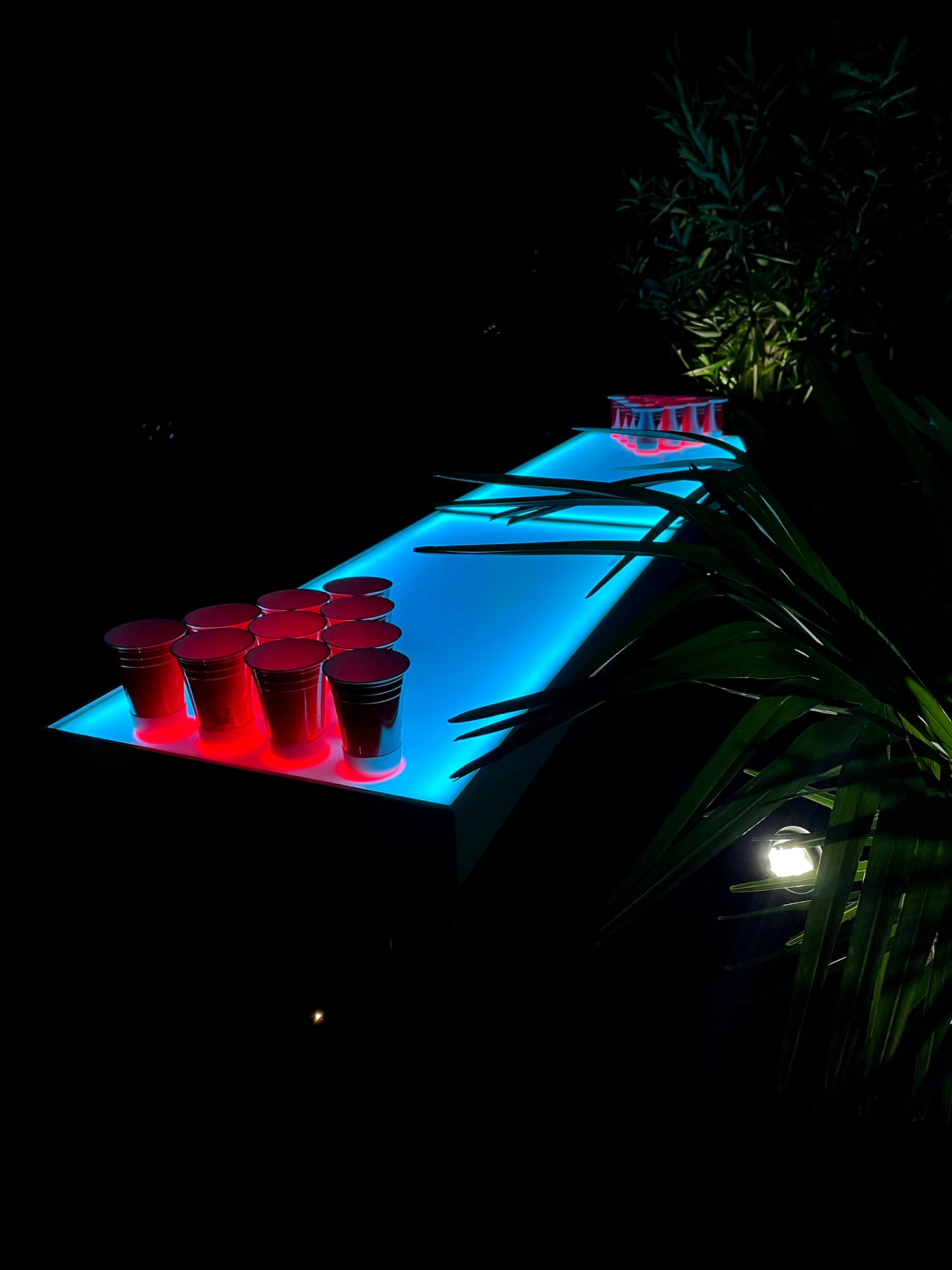 LED Beer Pong Tisch PRO mit Palmen im Vordergrund